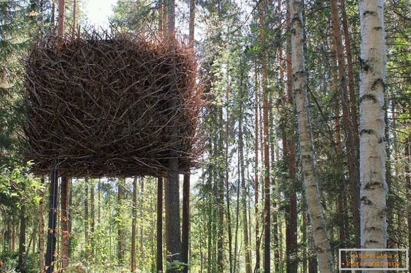 The Bird’s Nest Tree House (Швеция)