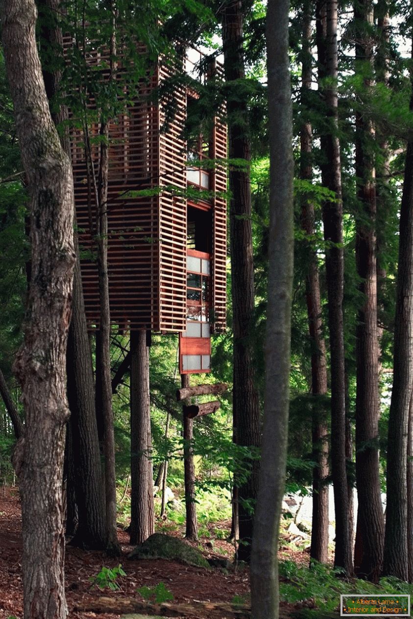 Treehouse in Muskoka (Ontario, Canada)