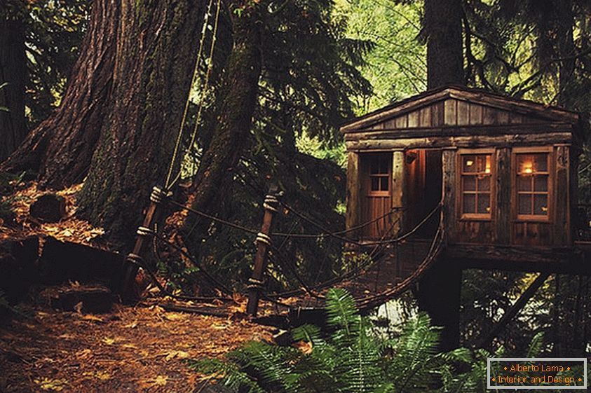Treehouse in Seattle (Seattle, USA)