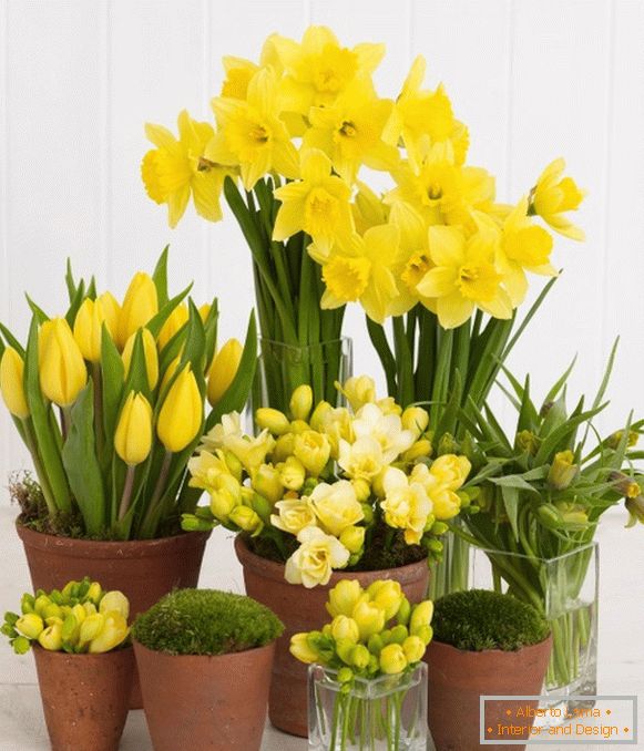 Different yellow flowers in the interior