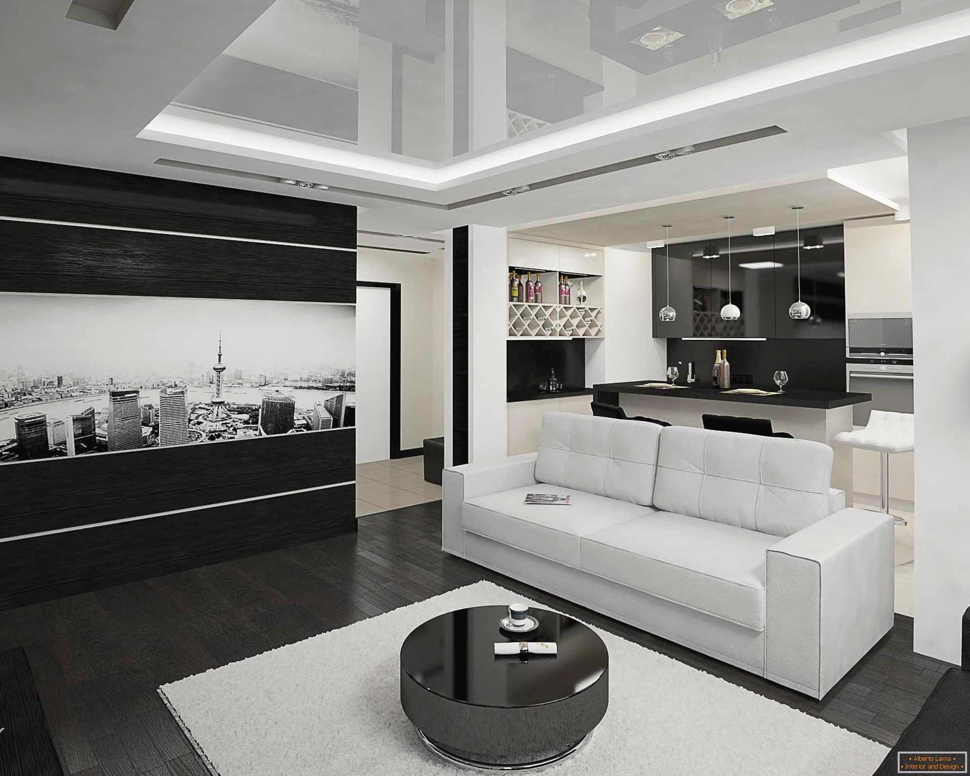 Black and white kitchen and living room interior on 20 square meters