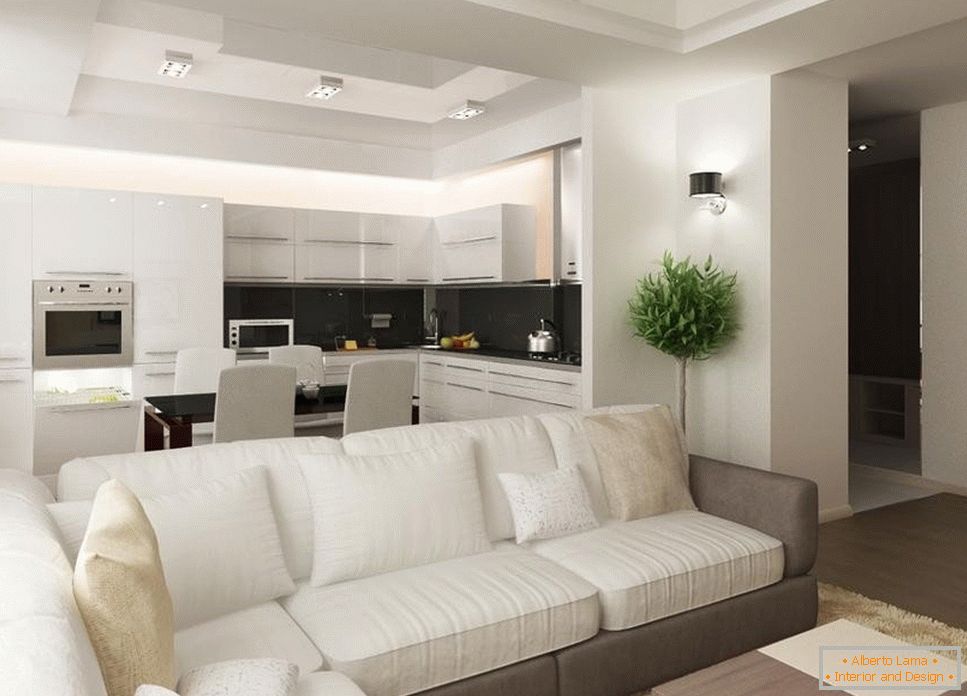 Combined kitchen and living room in white tones