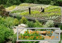 30 удивительных идей для оформления garden on the roof