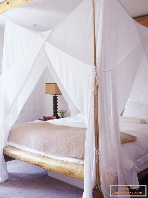 Unusual bed with canopy