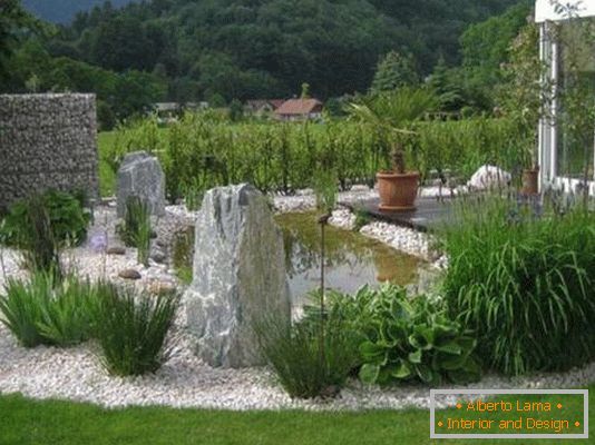 Beautiful stones in the garden