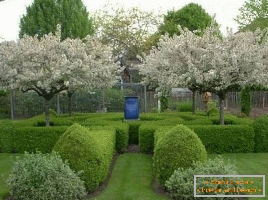 A small labyrinth in the garden near the house