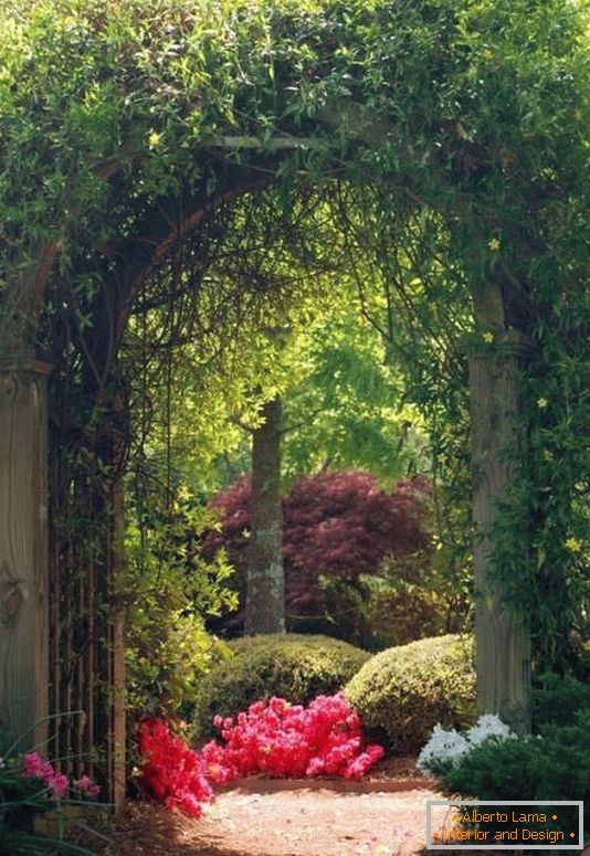 Arch with plants in the garden design