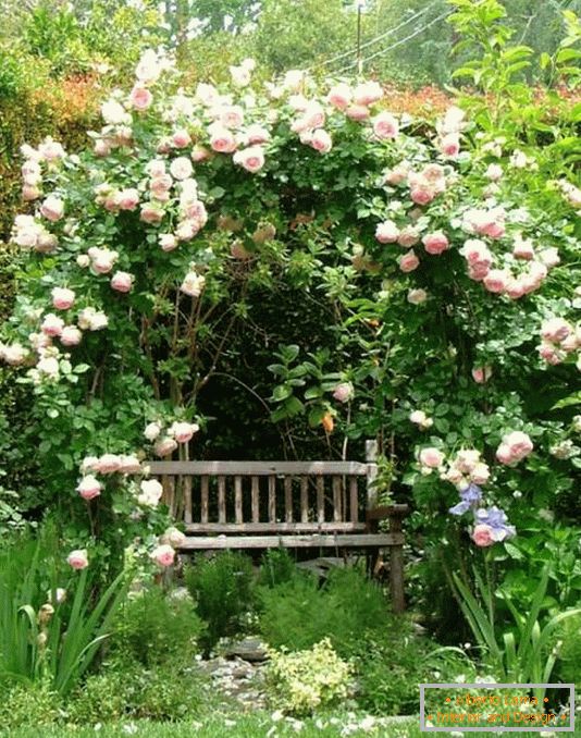 A secluded place to relax in the garden
