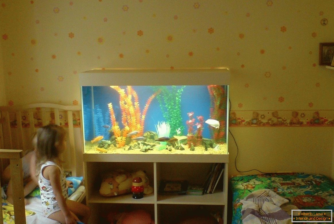 Interior of a nursery with an aquarium