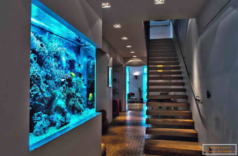 Aquarium in the hallway wall