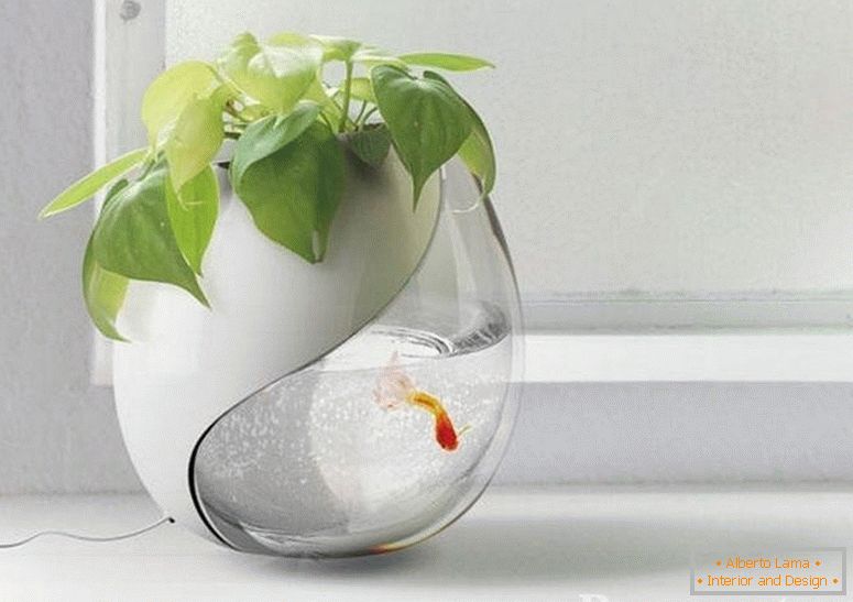 Aquarium with a flower pot