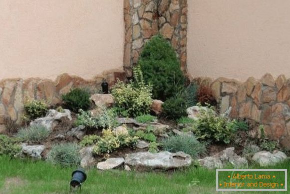 Decoration of the Alpine hill in the corner of the garden of a private house