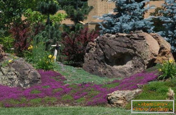 Beautiful Alpine hills - a photo of the landscape near the house