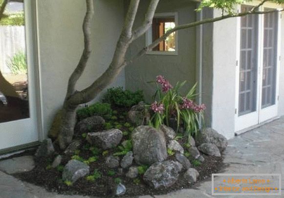 A small alpine slide with a tree near the house