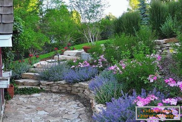 Different alpine hills - photo landscape design of the house area