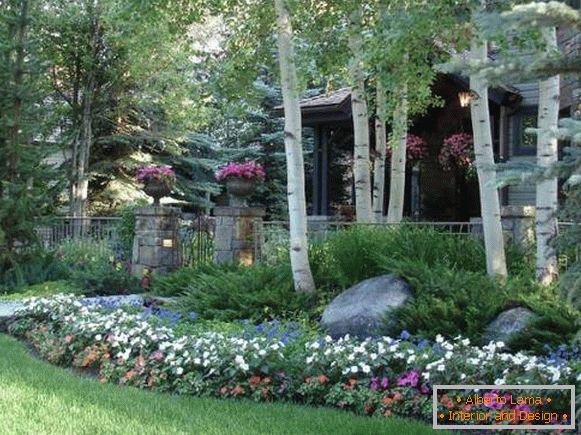 Simple ideas of landscape design with their own hands - rock garden