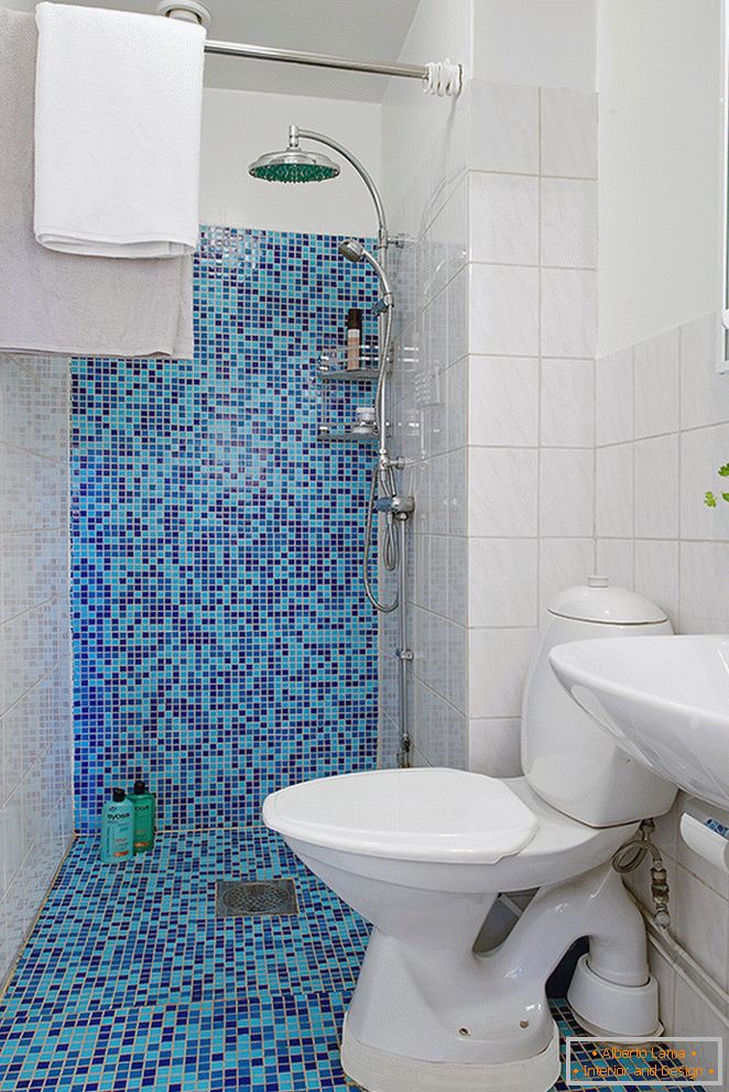 Blue mosaic tiles in the toilet