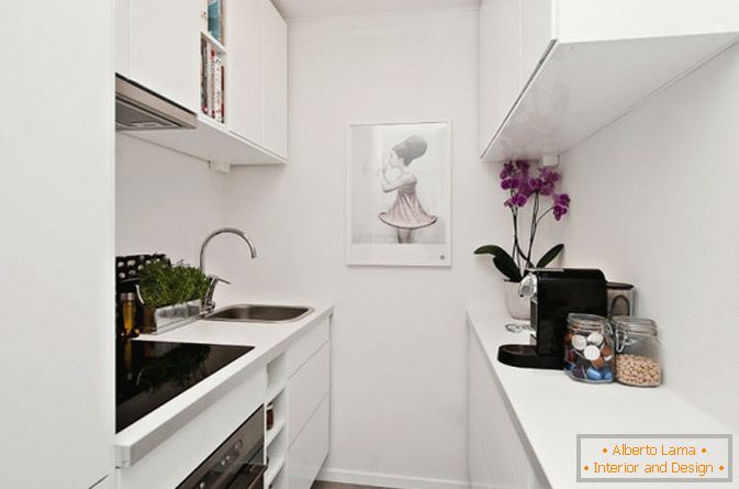 Kitchen studio apartment in white color