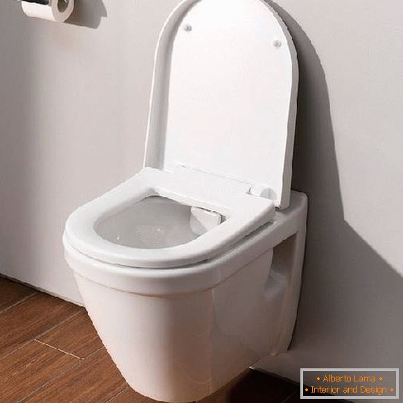 Bezobodkovy toilet, photo 13