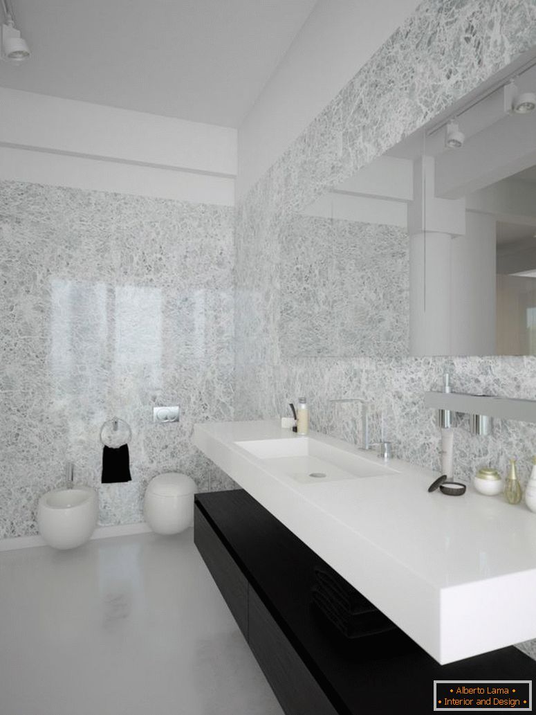 black-white-contemporary-bathroom-design
