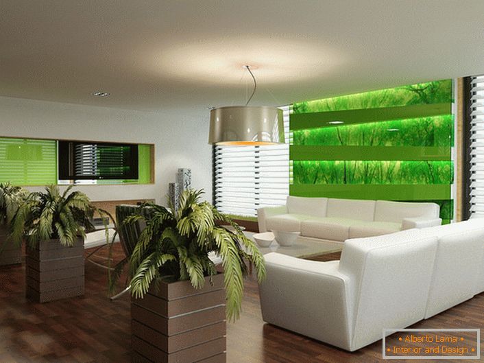 Ecological style in the interior of the living room helps the apartment owners and their guests to escape from the city fuss.