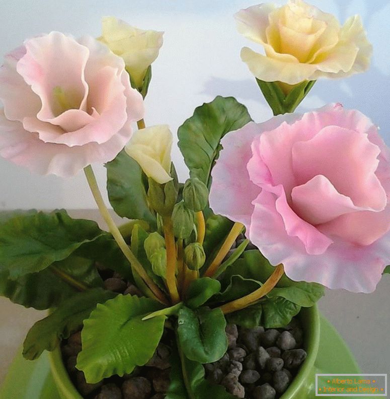 40афк2846е99к35566315а108с6-flowers-floristry-primula-from-polymer-clay
