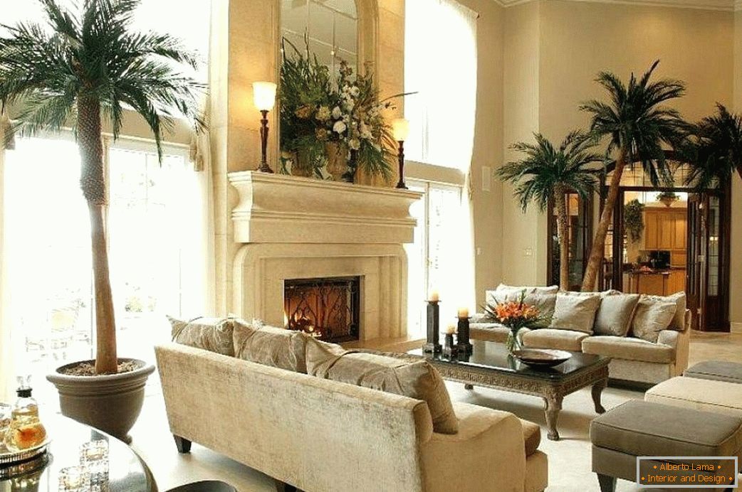 Palm trees in the living room