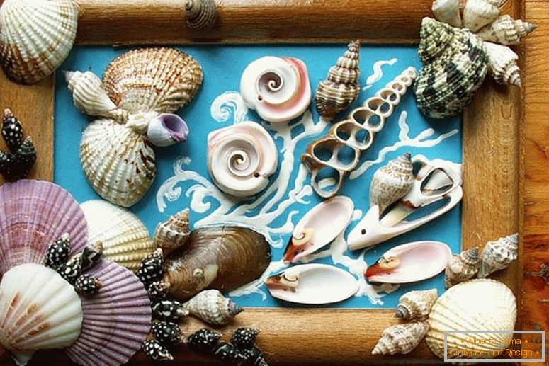 Picture of seashells