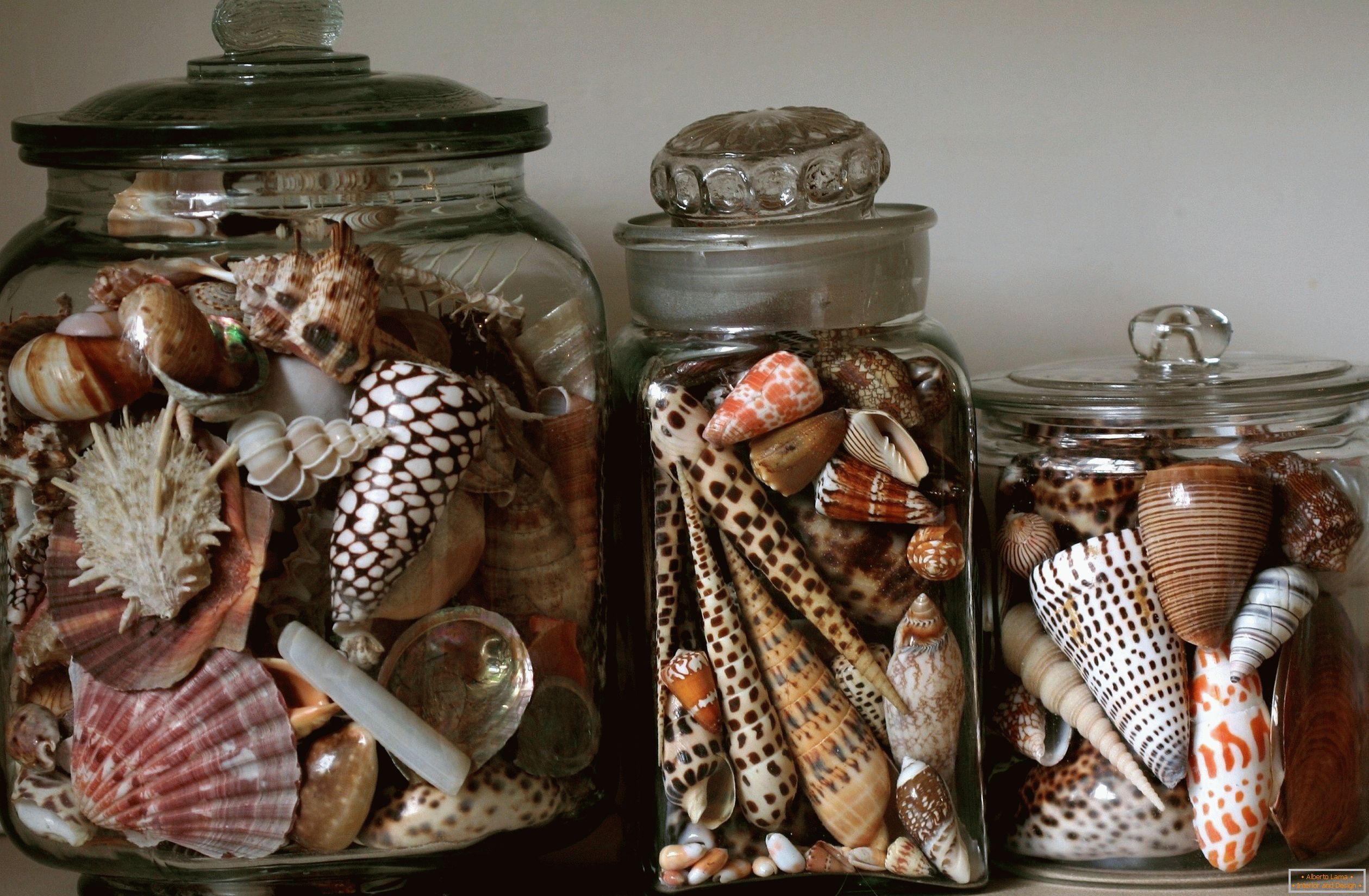 Interior jars with seashells