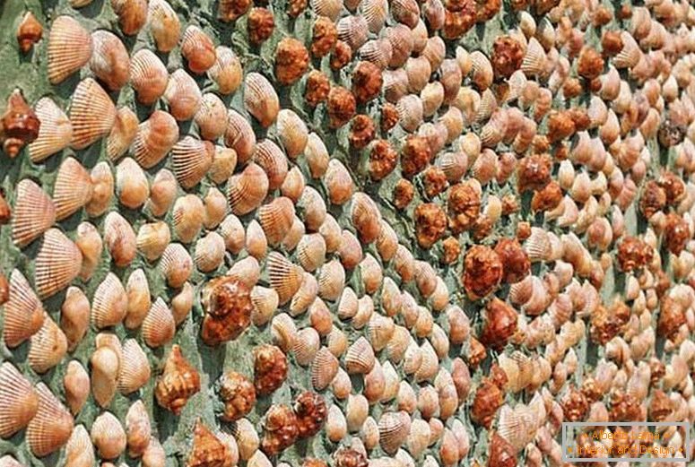 Wall of seashells