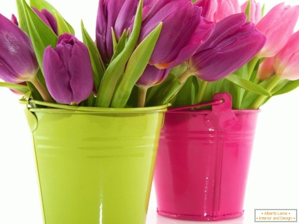 Tulips in colored pails