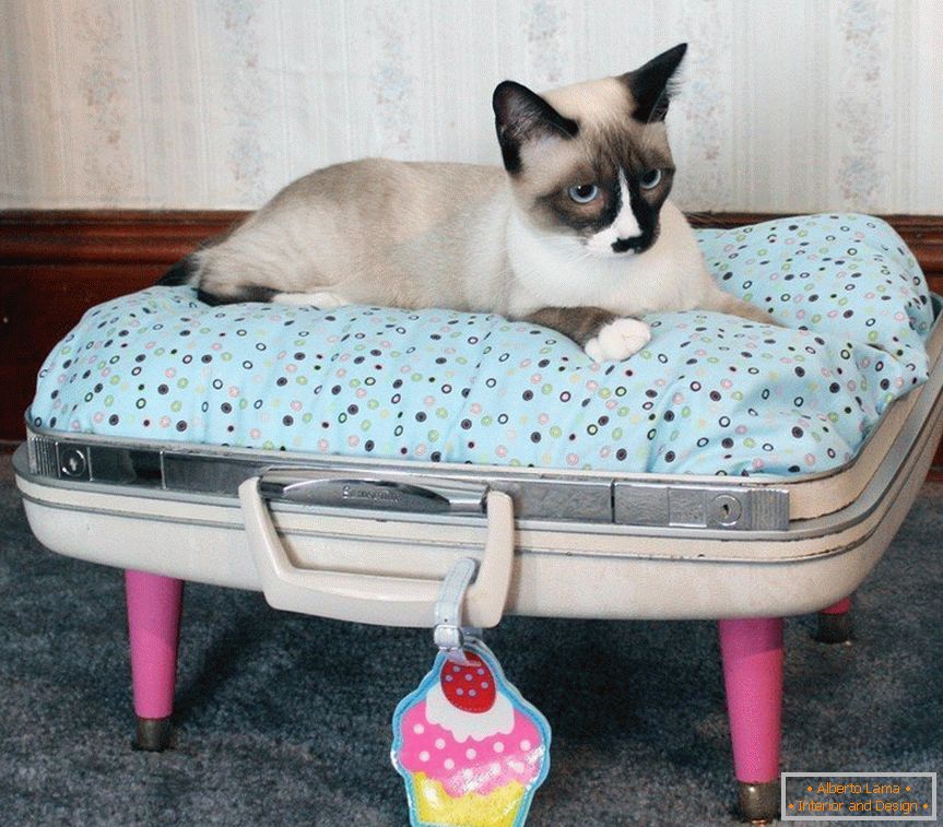 Pet bed for pets from a suitcase