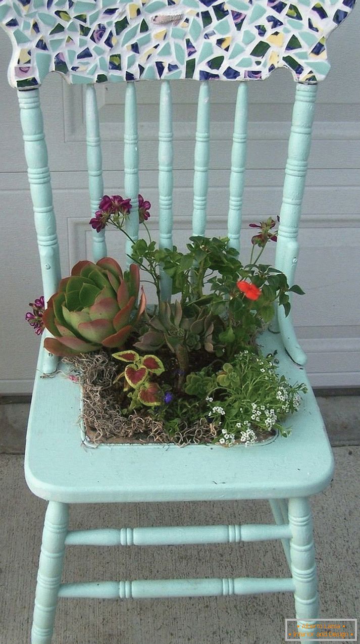 Flower Arrangement in a Chair Saddle