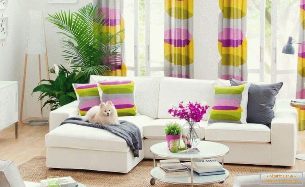 Pillows in color curtains
