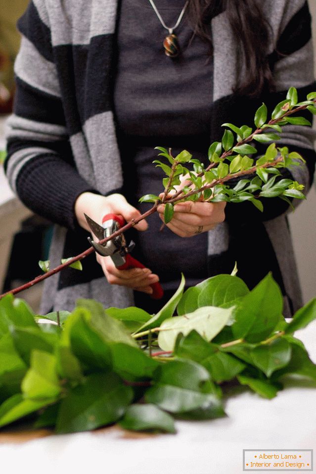 Cut off the excess length of branches with a pruner
