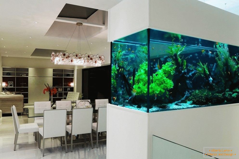 Interior dining room with aquarium