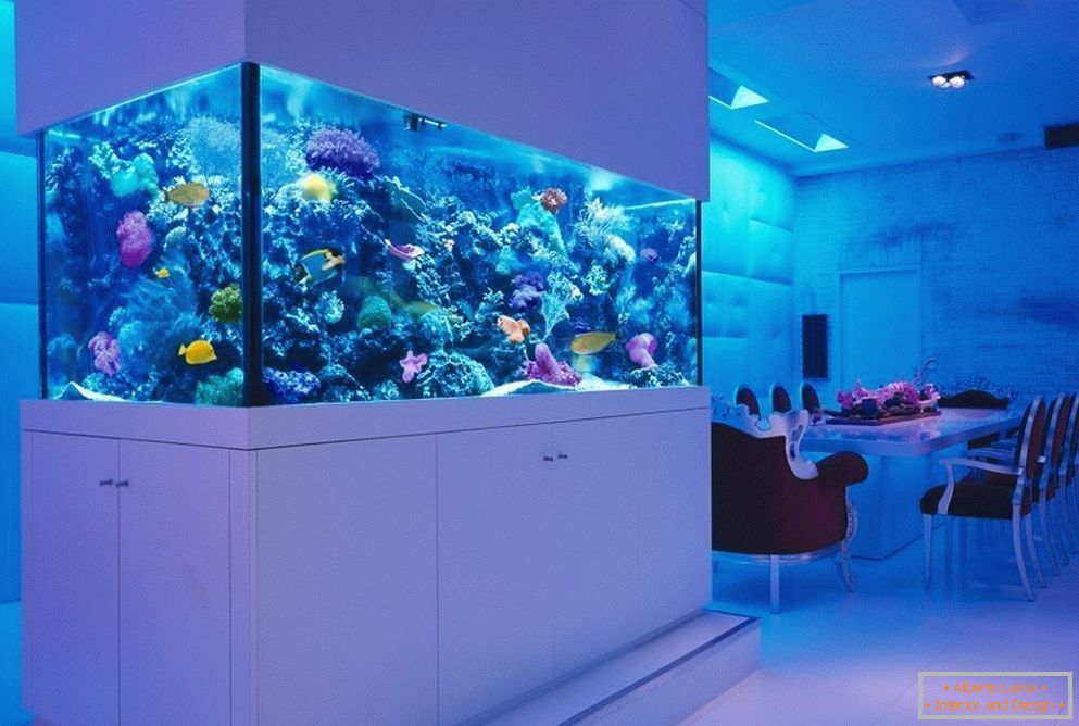 Marine aquarium using live corals 