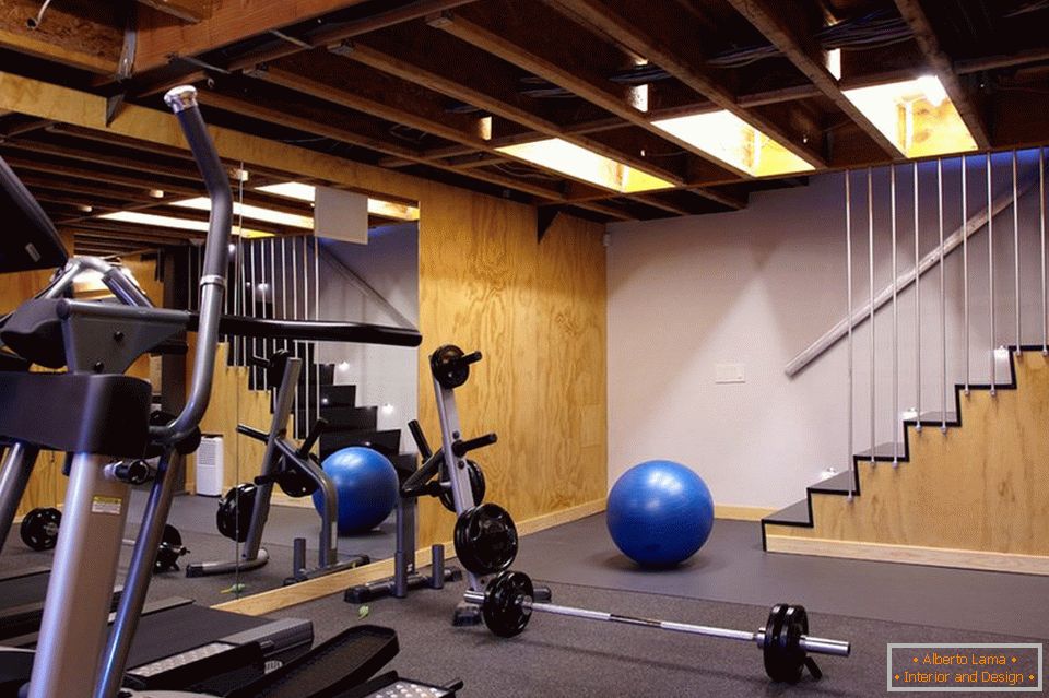 Basement with gym