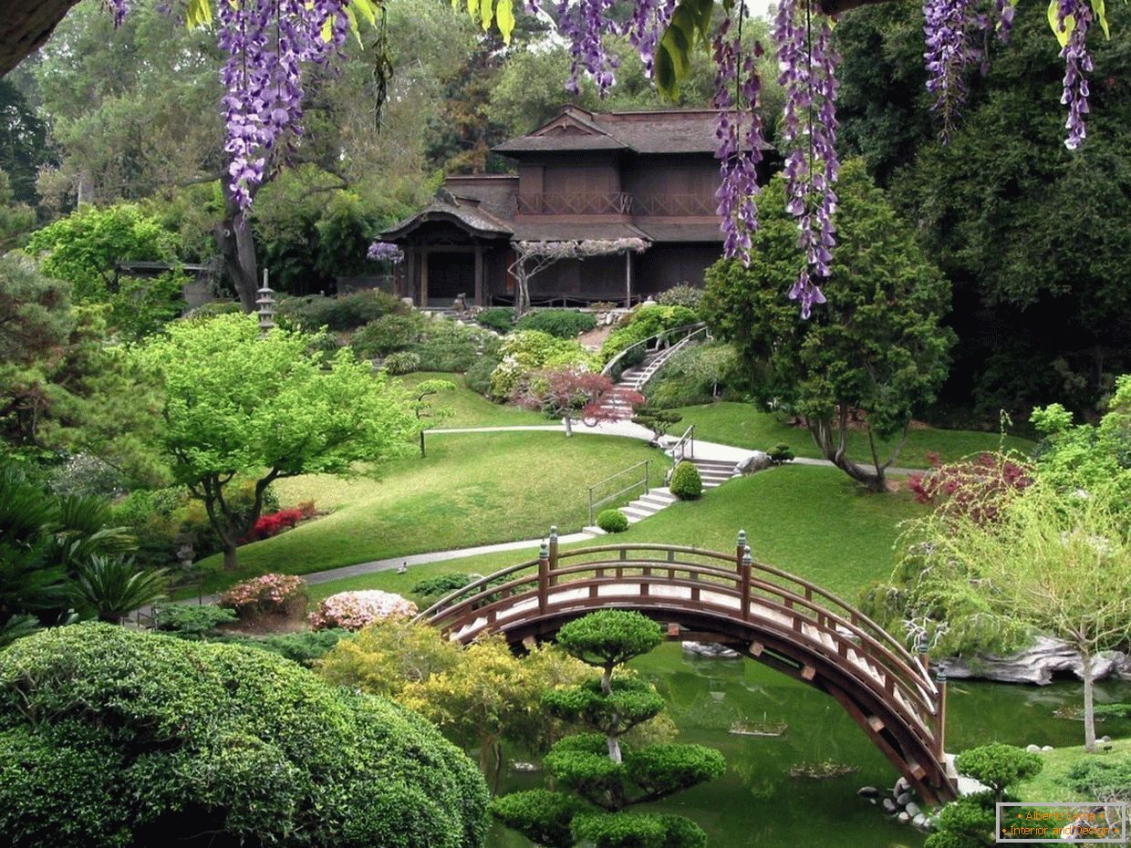 Garden with paths, pond and bridge