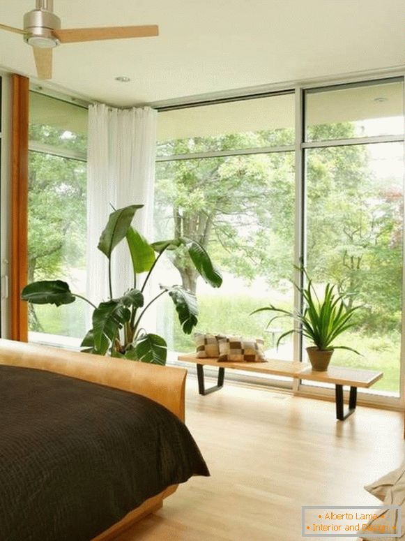 Large windows and potted plants in the bedroom