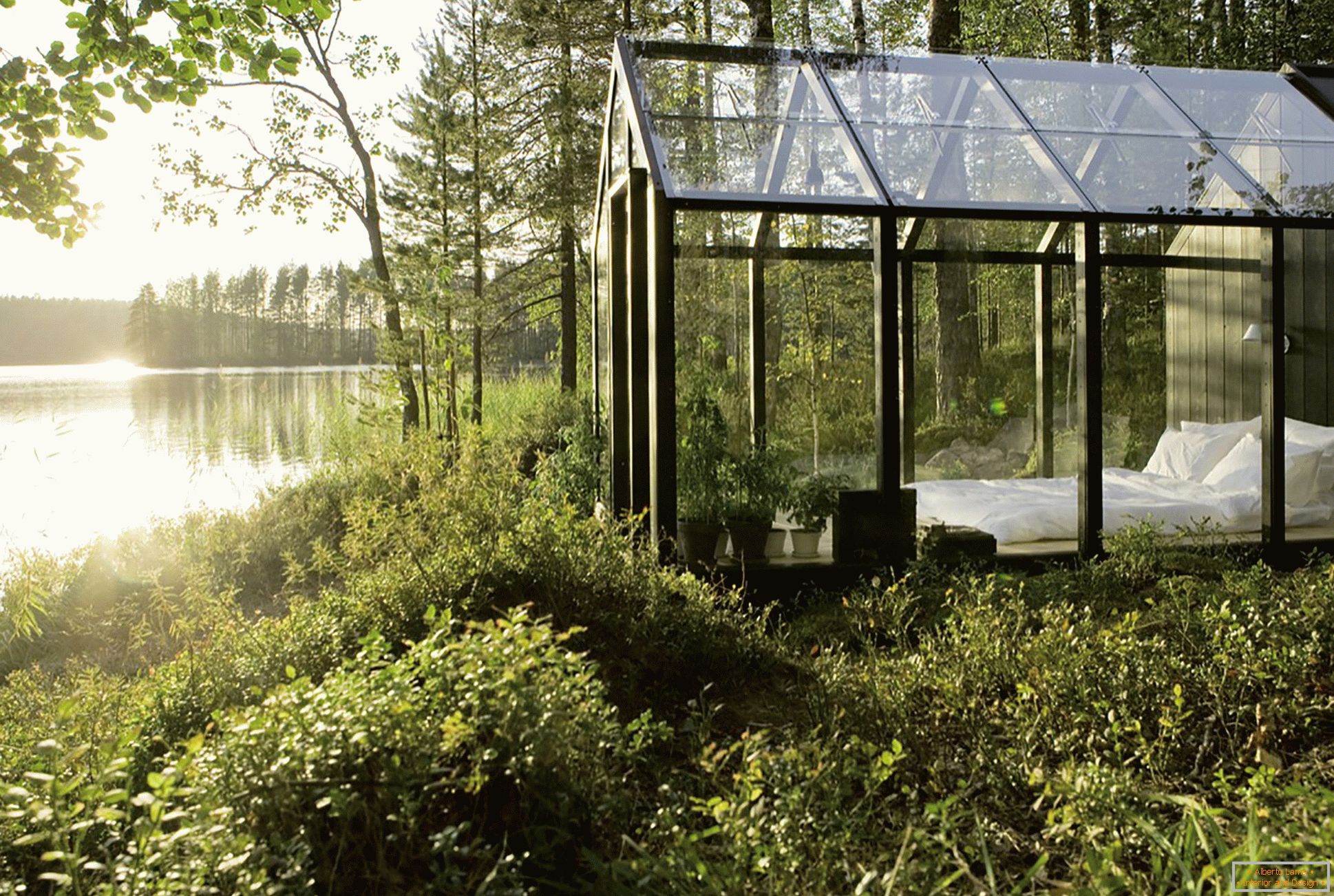 The design of the greenhouse in the forest from linda