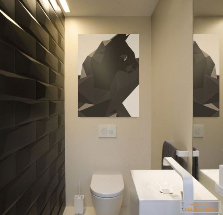 Toilet design - 150 photos of competent interior design in