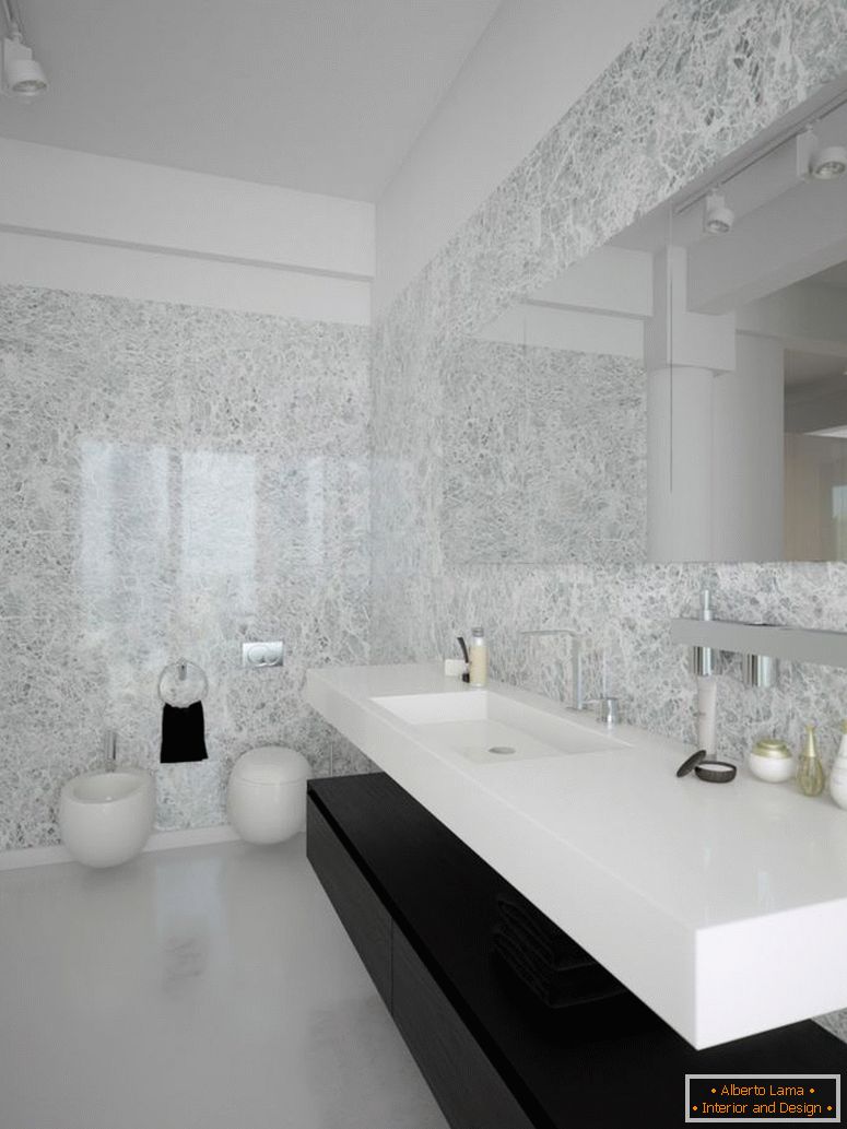 Toilet design - 150 photos of competent interior design in