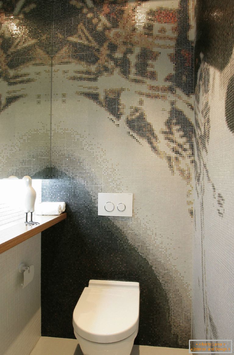 Toilet design - 150 photos of competent interior design in