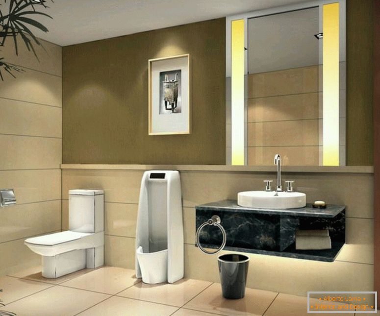Toilet design - 150 photos of competent interior design in