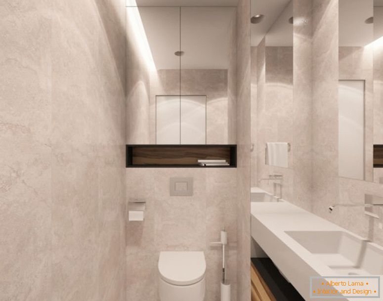 Toilet design - 150 photos of competent interior design in