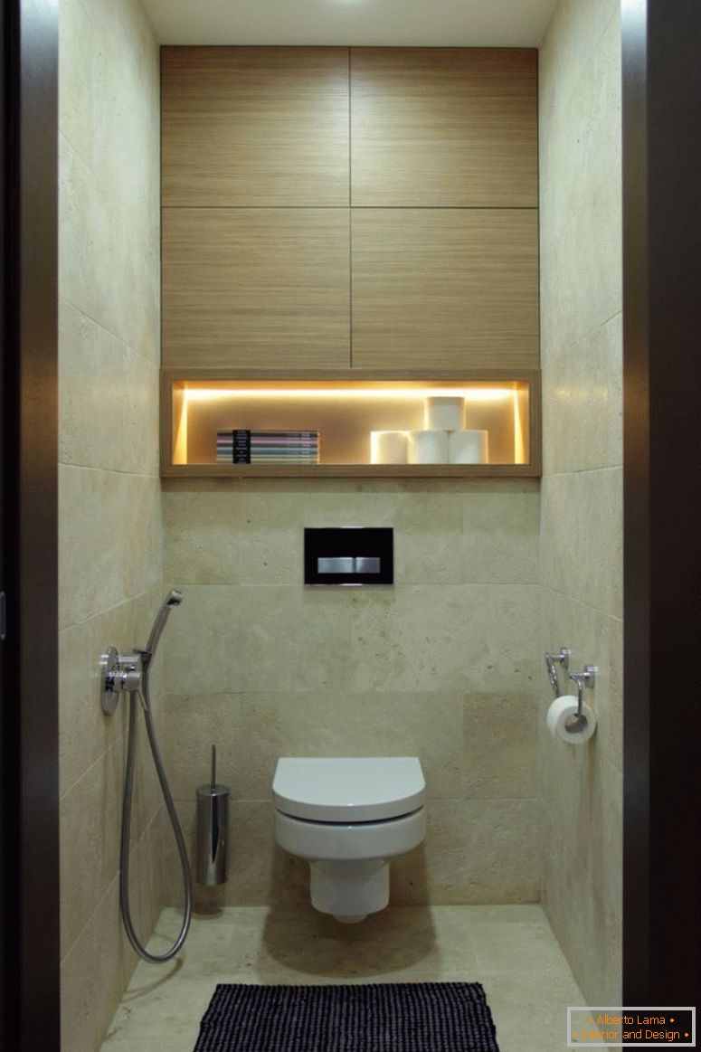 Toilet design - 150 photos of competent interior design in