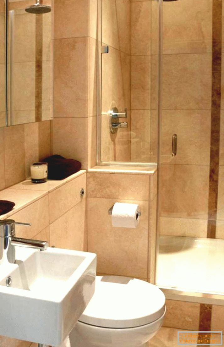 Toilet design - 150 photos of competent interior design in