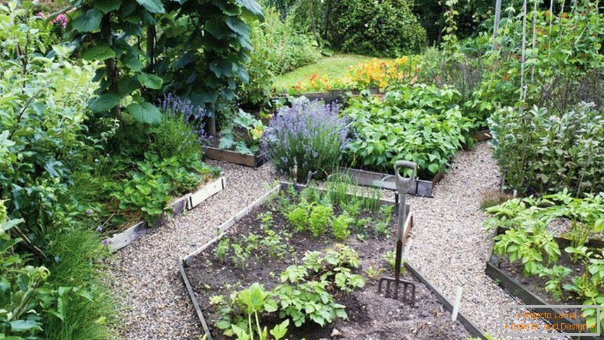 Vegetable garden on the plot of 12 hectare