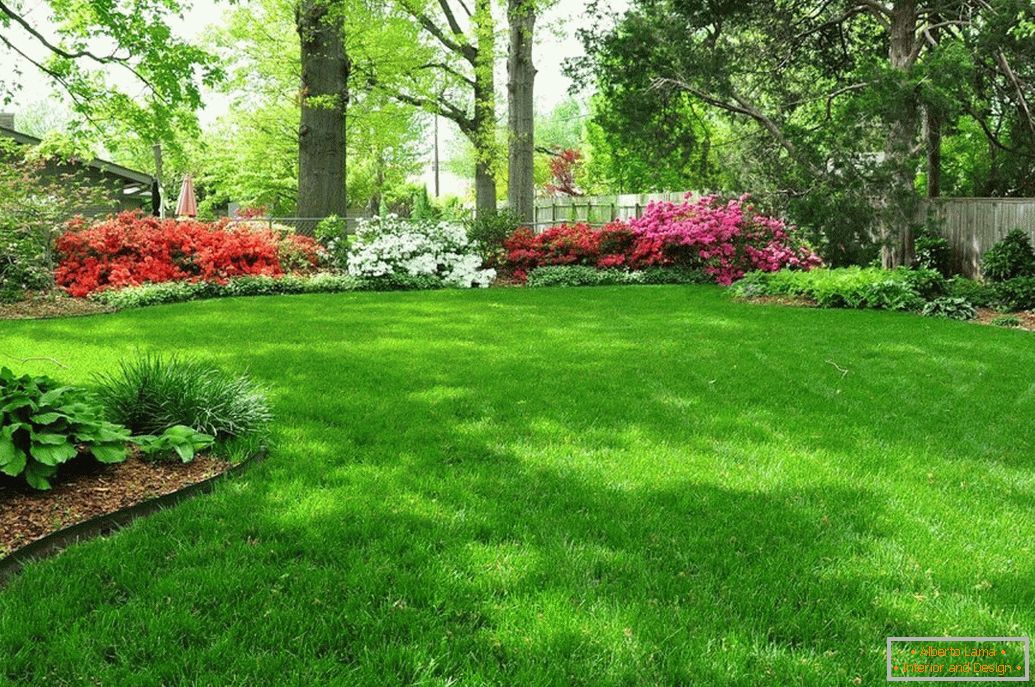 Lawn in the area of ​​12 hectare